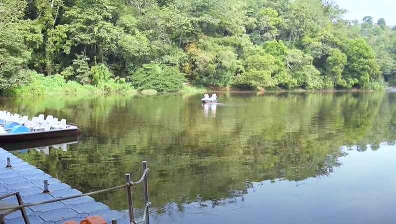 Pookode Lake - Wayanad Tourist Places