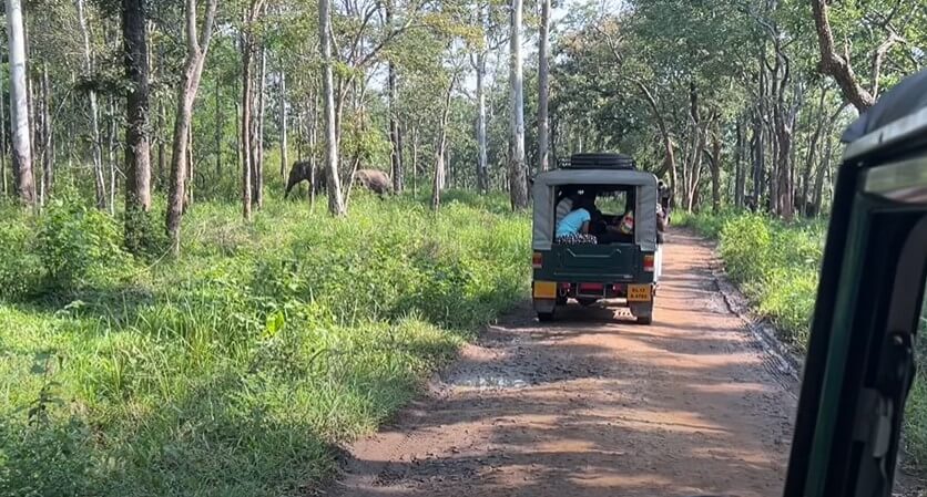 Wayanad Wildlife Sanctuary - Wayanad Tourist Places